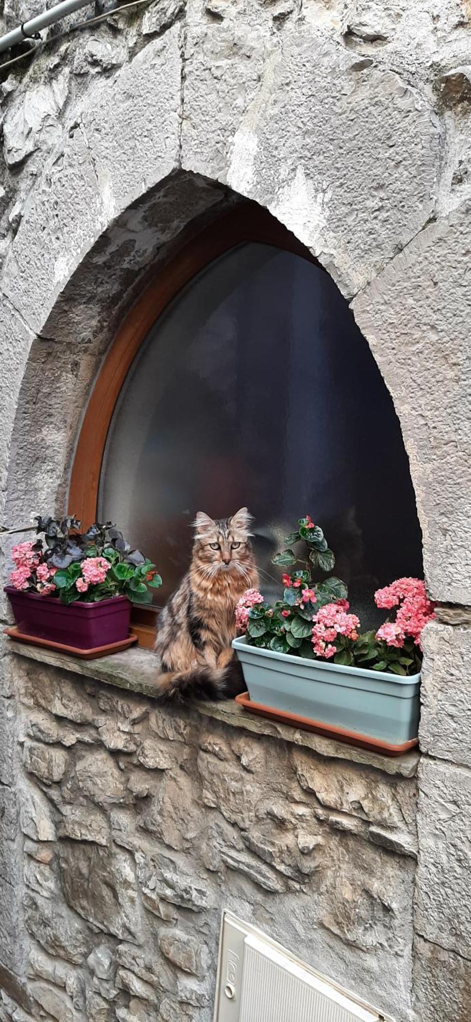 Gite Des Remparts Lucéram Dış mekan fotoğraf